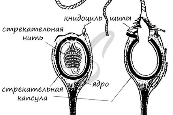 Клирнет ссылка на зеркало маркетплейс кракен